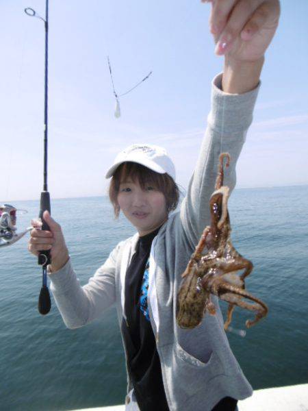 かもめ釣船 釣果