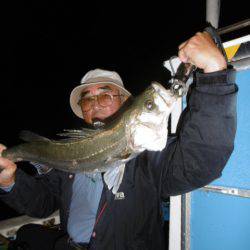 かもめ釣船 釣果