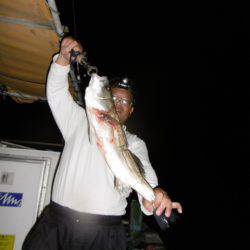 かもめ釣船 釣果