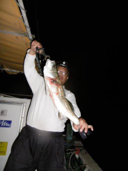 かもめ釣船 釣果