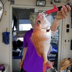 遊漁船　ニライカナイ 釣果