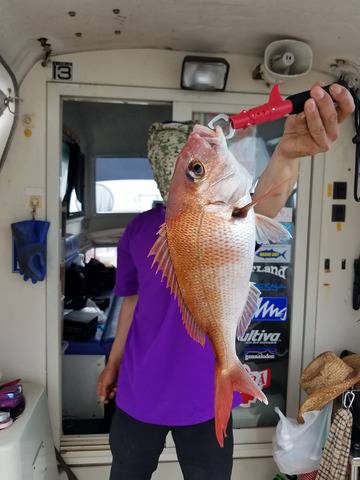 遊漁船　ニライカナイ 釣果