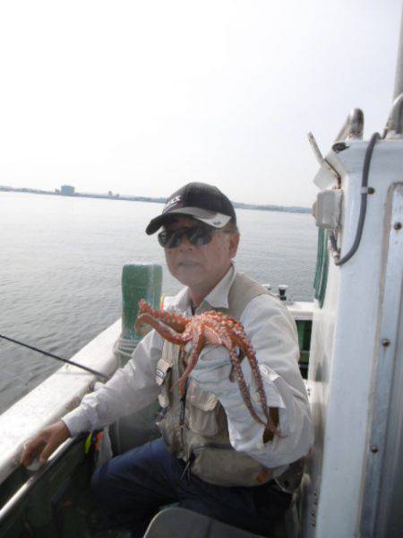 かもめ釣船 釣果