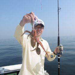 かもめ釣船 釣果