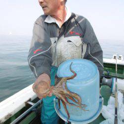 かもめ釣船 釣果