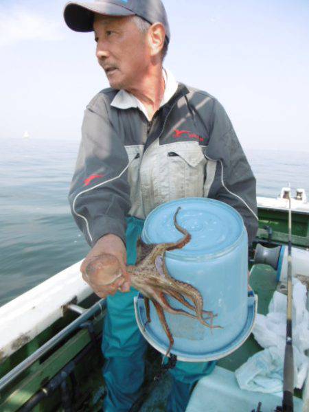 かもめ釣船 釣果