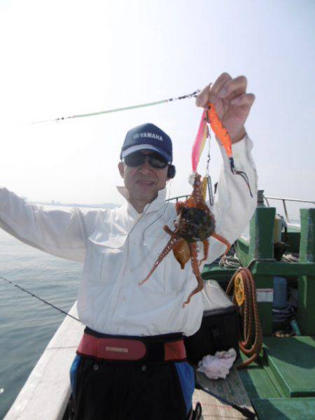 かもめ釣船 釣果