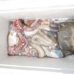 かもめ釣船 釣果