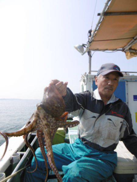かもめ釣船 釣果