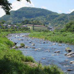 狩野川(狩野川漁業協同組合) 釣果
