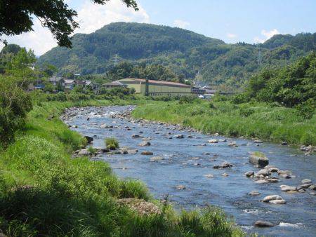 狩野川(狩野川漁業協同組合) 釣果