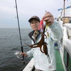 かもめ釣船 釣果