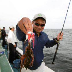 かもめ釣船 釣果