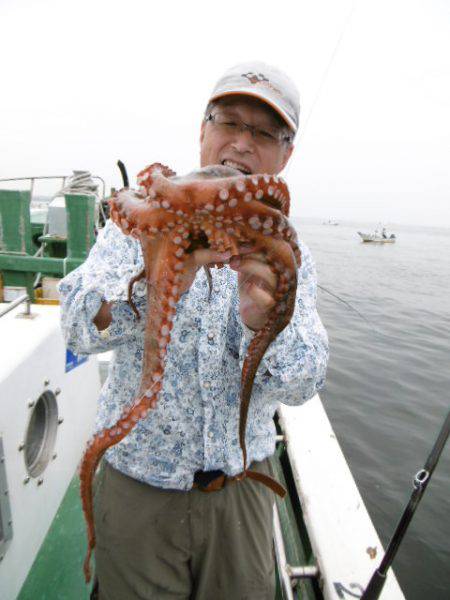 かもめ釣船 釣果