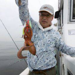 かもめ釣船 釣果