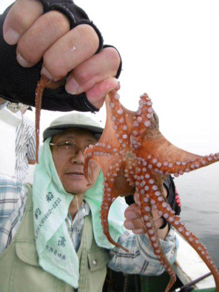 かもめ釣船 釣果