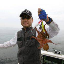 かもめ釣船 釣果