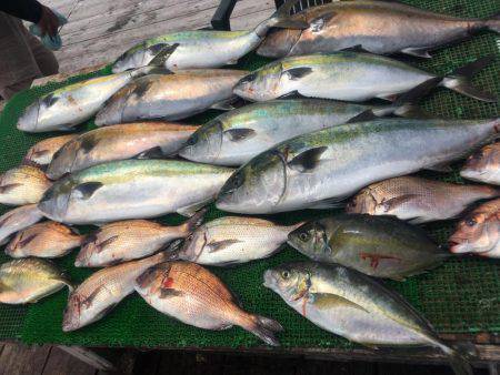 釣堀紀州@かなすび釣果