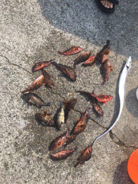 ガシリングがゲキアツ！！！！！