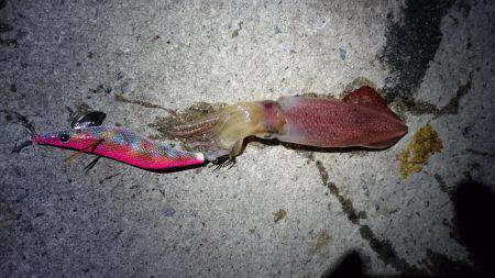 あたりあるものの……