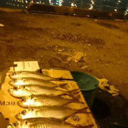 今月アジングデビューした初心者です アジと思わぬ外道です