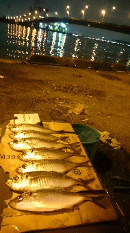 今月アジングデビューした初心者です　アジと…