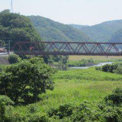 狩野川(狩野川漁業協同組合) 釣果