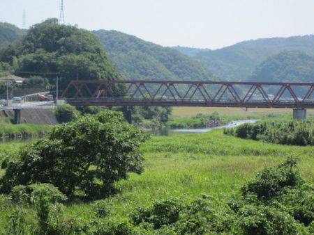 狩野川(狩野川漁業協同組合) 釣果