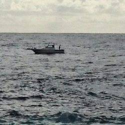 なかなか満足いく結果が出ない