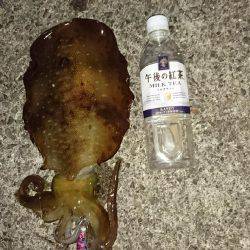 初めてのキロアップ