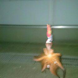 引き続きターコー