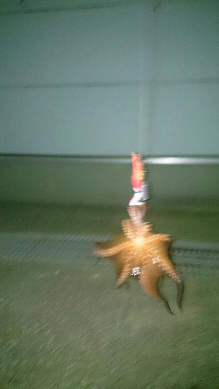 引き続きターコー