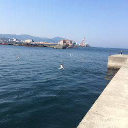 ガシリングがゲキアツ！！！！！