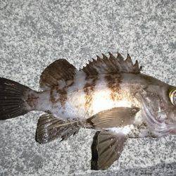 初めてのポイント