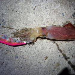 あたりあるものの……