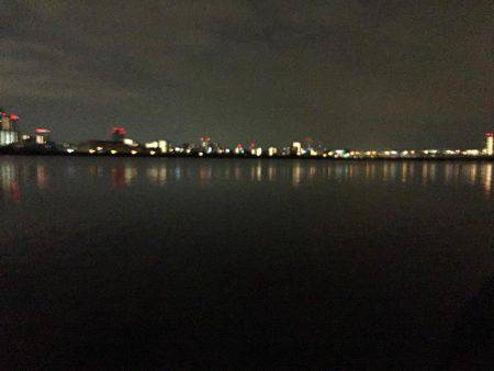 キビレ調査 NO,20