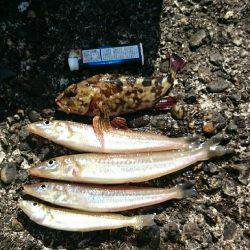 小学一年の息子が……