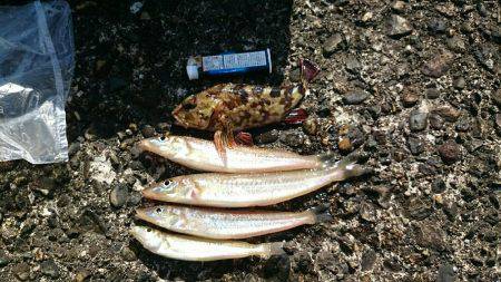 小学一年の息子が……