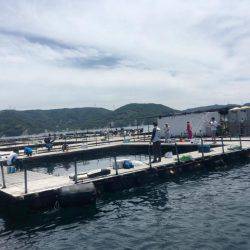 釣堀紀州@かなすび釣果