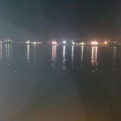 うろうろシーバス