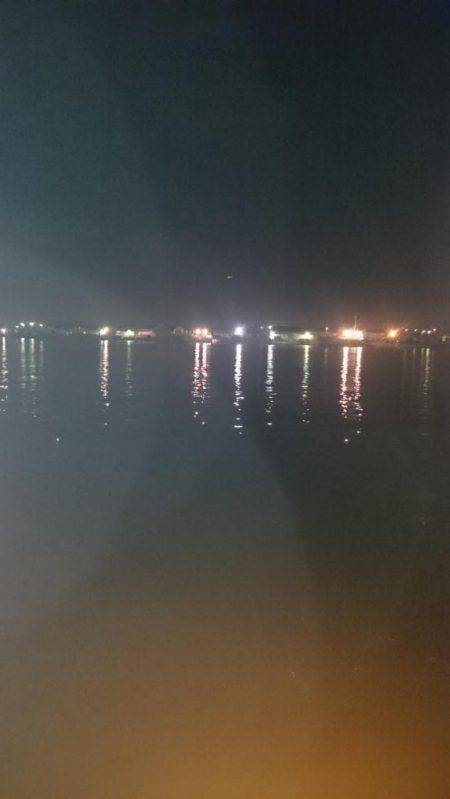 うろうろシーバス