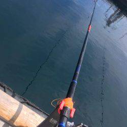 釣堀紀州@かなすび釣果