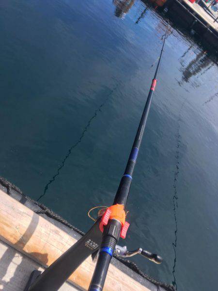 釣堀紀州@かなすび釣果