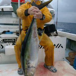 オーシャンズ　京都 釣果