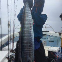 オーシャンズ　京都 釣果