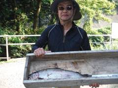 すそのフィッシングパーク 釣果