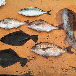 フィッシングパーク錦 釣果