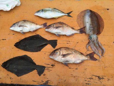 フィッシングパーク錦 釣果