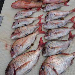 オーフリー 釣果