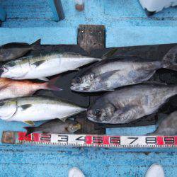 海宝丸 釣果